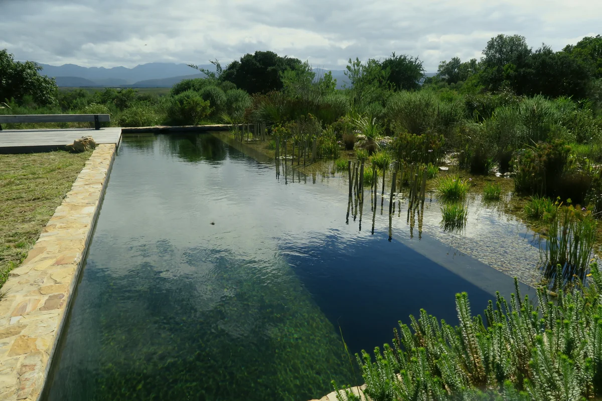 House Green Plettenberg Bay natural swimming pool